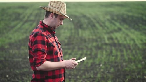 Man With Tablet in Rural Agricultural Field