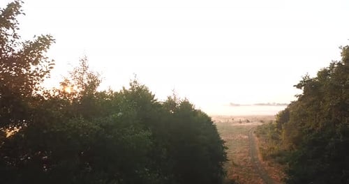 Aerial View of the Meadow Covered with Fog at Dawn