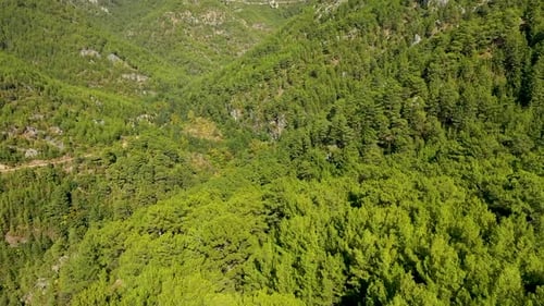 Green Forest filmé sur un Drone