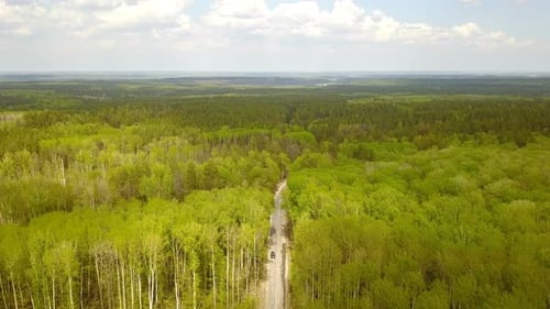 A Car On The Forest Road