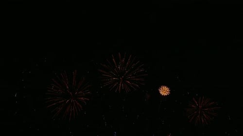 Colorful Firework display at night on sky background