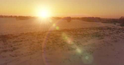 Aerial Drone View of Cold Winter Landscape with Arctic Field Trees Covered with Frost Snow and
