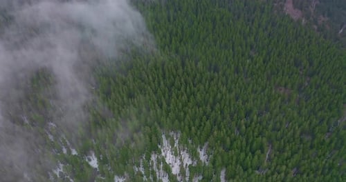 Aerial View of Amazing Green Valley. Drone Flying Above the Forest and Fog.