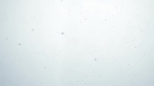 Snowfall In The White Sky