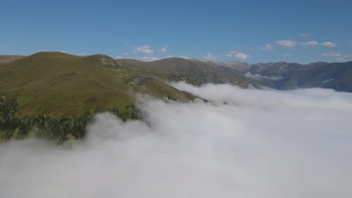 Alpenwiesen und Nebelmeer