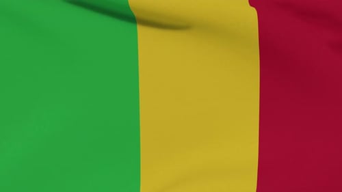 Realistic Waving Flag of Mali