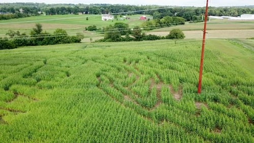 Aerial View of a Corn Maze in Rural Farmland, Sliding Drone Movement