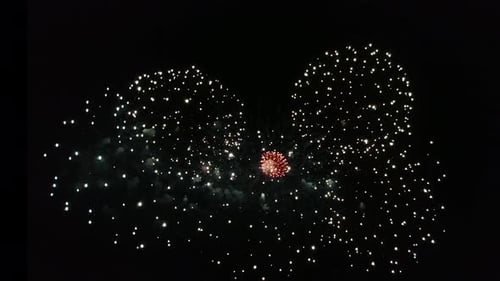 Beautiful Fireworks Show on Independence Day