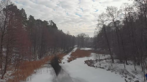 Winter River In Forest