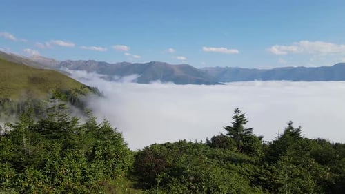 Sea Of Fog