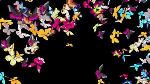 Dynamic Colorful Butterflies Flying Animation