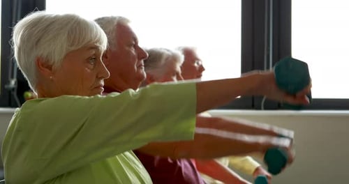 Seniors Exercising with Dumbbells Together Indoors