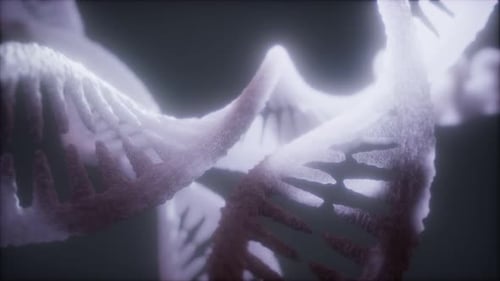 Loop Double Helical Structure of Dna Strand Closeup Animation