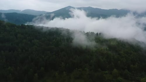 mountains and forest in the clouds view from above