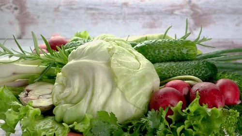 Set Vegetables for Preparation Salad Cabbage Green Onion Radish Parsley Cilantro Dill Garlic