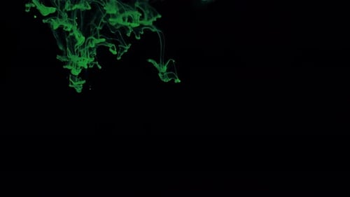 Germination Particles of Glowing Colors of Green Paint