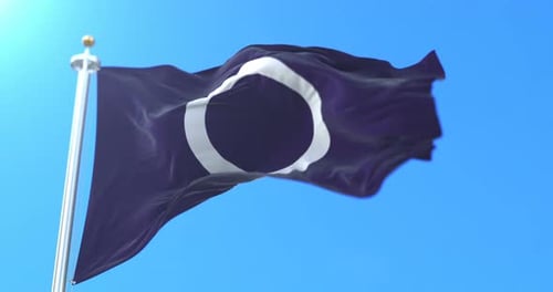 Realistic Waving Flag with Blank Circular Symbol
