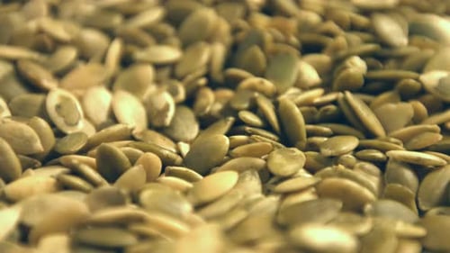 Heap of Green and White Pumpkin Seeds