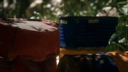 Rusty Barrels in Green Forest