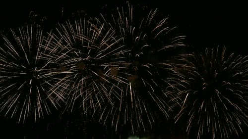 Spectacular Fireworks Exploding in the Night Sky