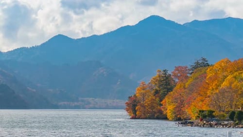 Autumn In Nature
