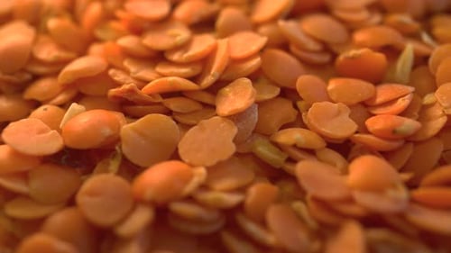 Bright Orange Lentils Extreme Close Up View