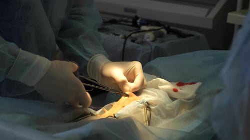 Surgical Procedure in Hospital Operating Room