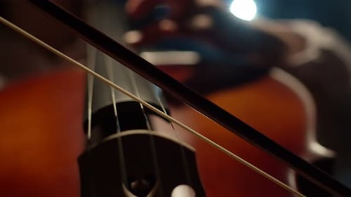 Cello Bow Playing Elegant String Instrument Close-Up