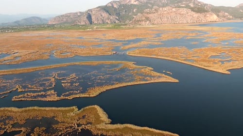 Aerial view of a swamp in Dalyan, Turkey.