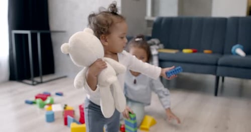 Two Children Playing Together with Toys Indoors