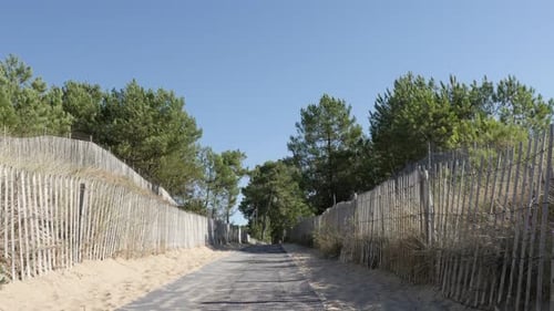 Walkway leading to sea beach with pines and sand slow tilt 3840X2160 UltraHD footage - Wooden plank