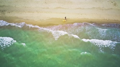 Man Walking with a Dog Along the Beach at Sunrise to Aerial View From Drone