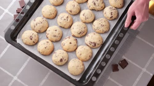 Homemade Soft Chocolate Chip Cookies on a Baking Sheet