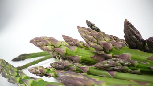 Spargel 04