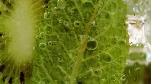 Macro limonada kiwi