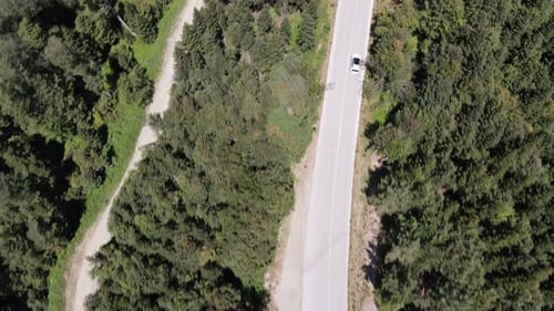 Fahrt auf Forest