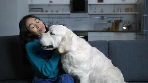 Woman Hugging a Dog on Couch at Home