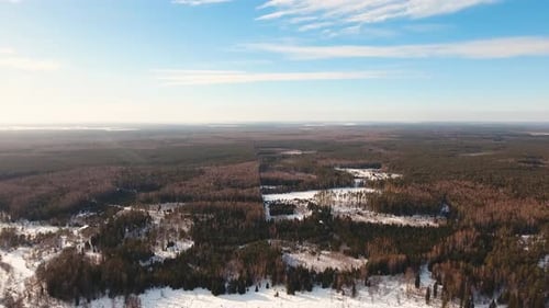 Winter Landscape with Forest