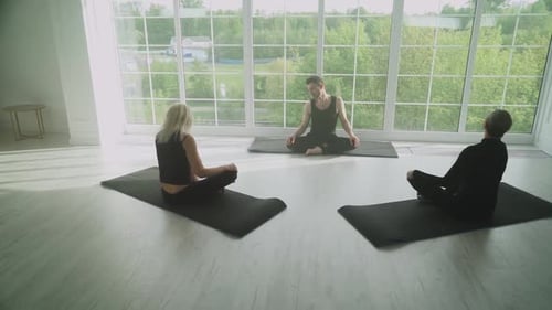 Yoga Class with Adults Meditating in Bright Studio