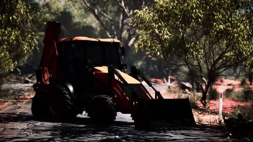 Tractor excavadora en Bush Forest
