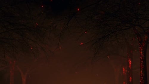 Burning Forest