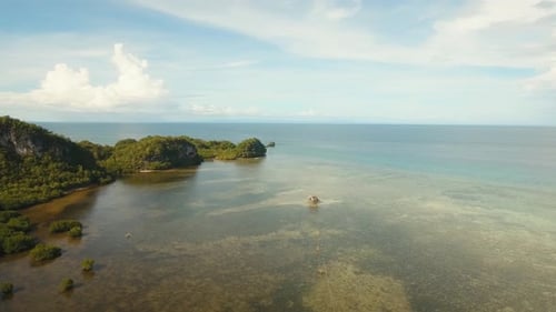 Coast of Tropical Island