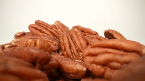 Pecan Nuts 04