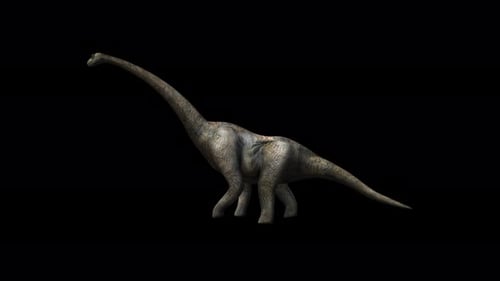 Animated 3D Apatosaurus Dinosaur Walking on Alpha Channel
