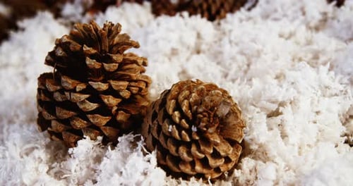 Pine Cones on White Artificial Snow Background