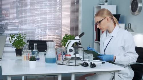 Young Adult Woman Scientist Working in a Lab