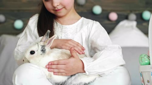 Close up of cute girl stroking the rabbit