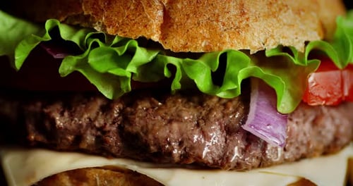 Macro shot of a delicious looking burger