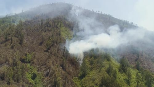 Forest Fire in the Mountains