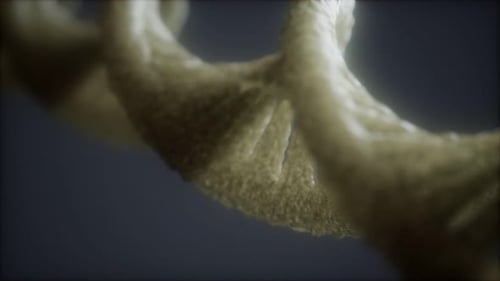 Loopable Structure of the DNA Double Helix Animation